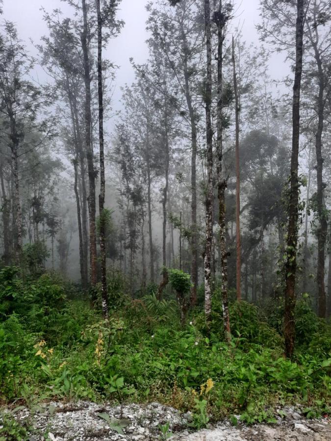 Coorg Happy Estate Stay มาดิเครี ภายนอก รูปภาพ